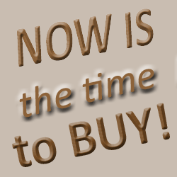 Now is the time to BUY Real Estate in Southeast Michigan. Call Lee Morof 248-514-2640 today!